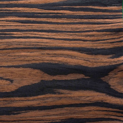 Ebony tree