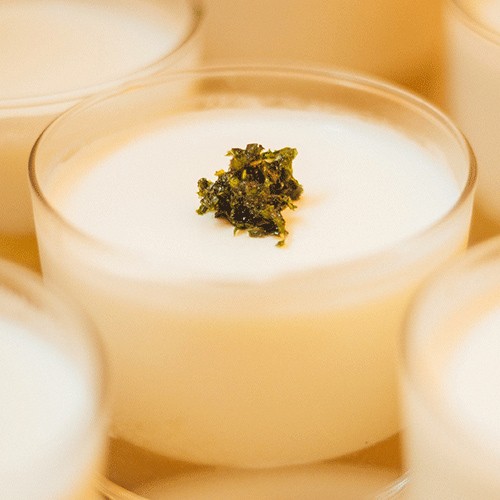 Panna kotta