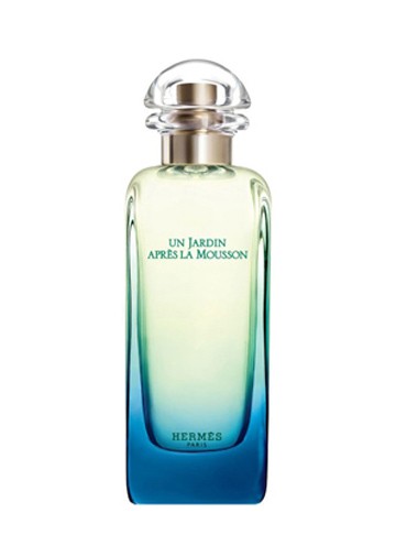 Hermes Un Jardin Apres la Mousson