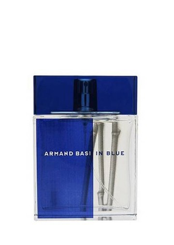 Armand Basi In Blue