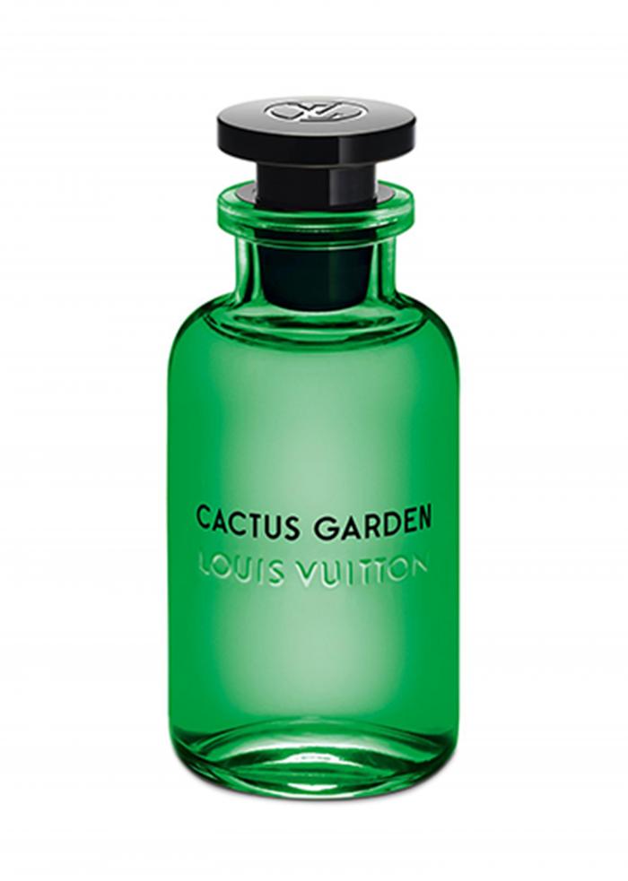 Louis Vuitton Cactus Garden