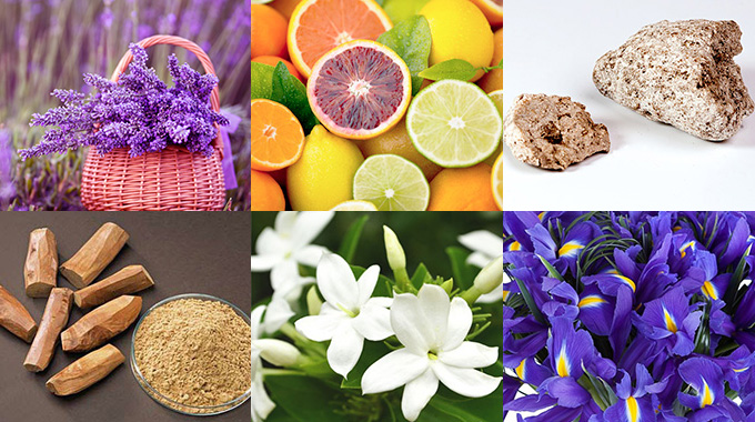 The most used, popular and interesting notes in perfumes-1